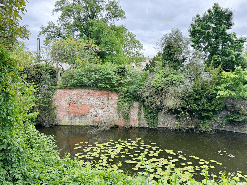 Hauptburg Angern Nordseite