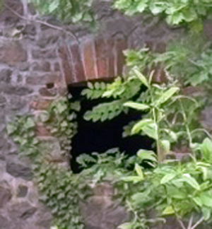 palas-angern-fenster