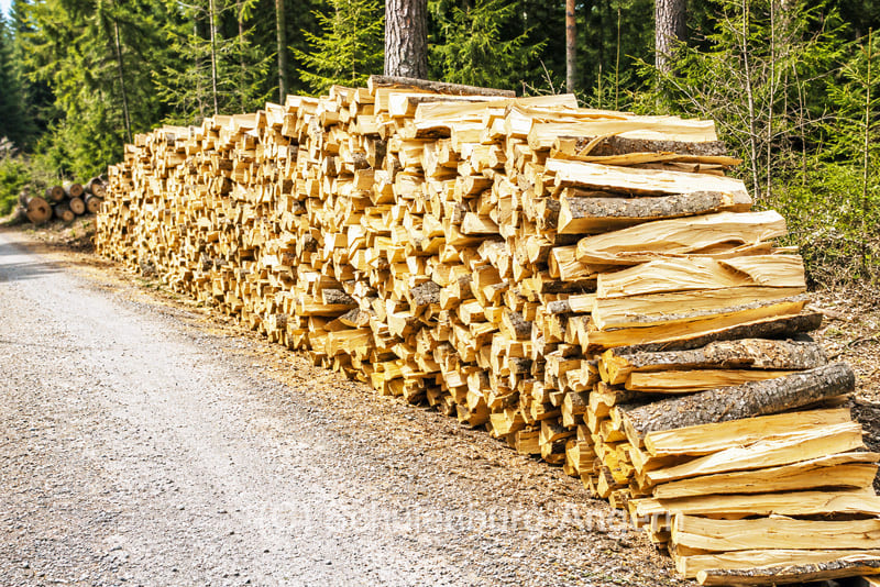 angern-forst-brennholz